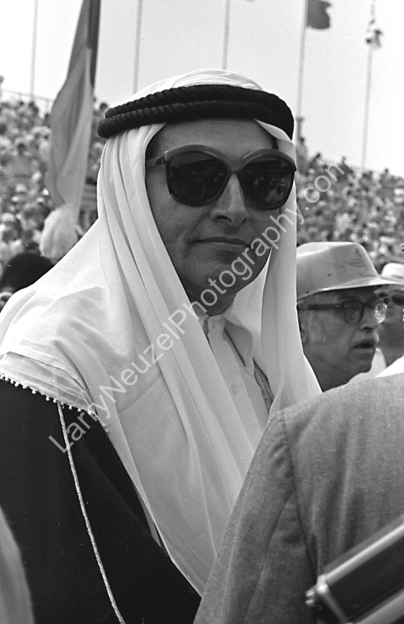 Sheik 2