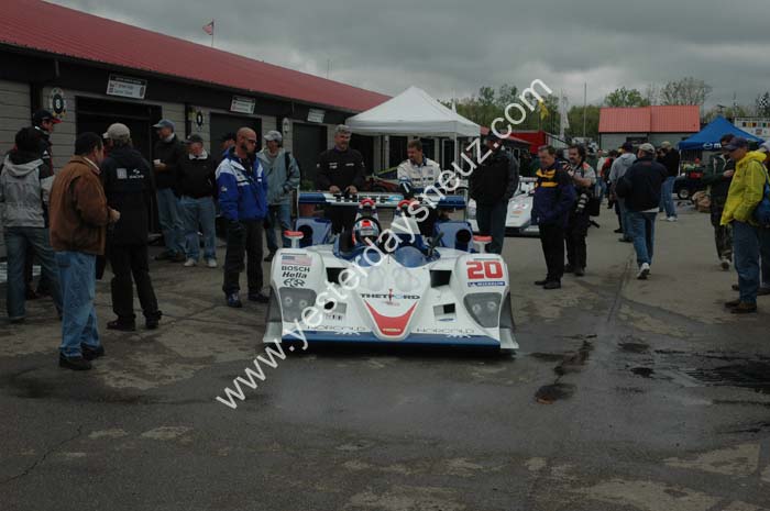 ALMS 017