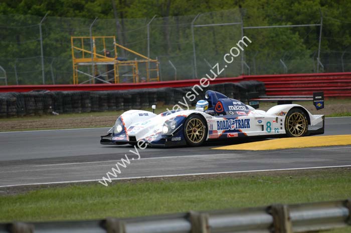 ALMS 223