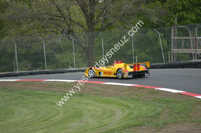 ALMS 228