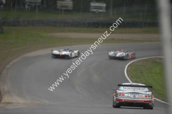 ALMS 246