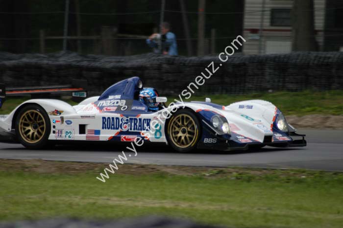 ALMS 299