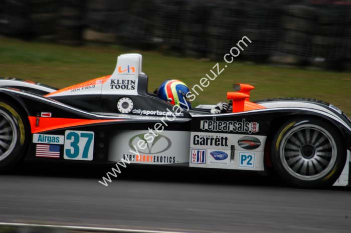ALMS 303