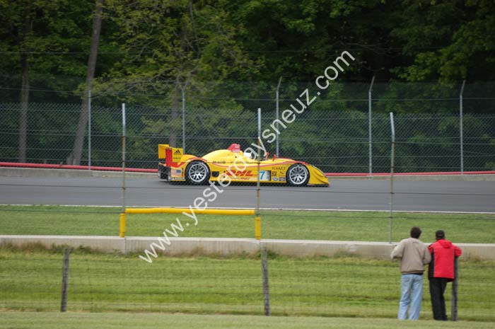 ALMS 317