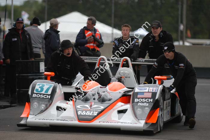 ALMS 336