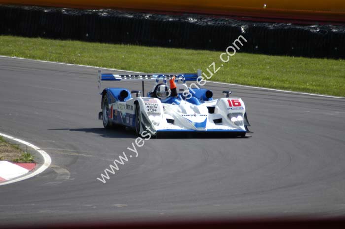 ALMS 498