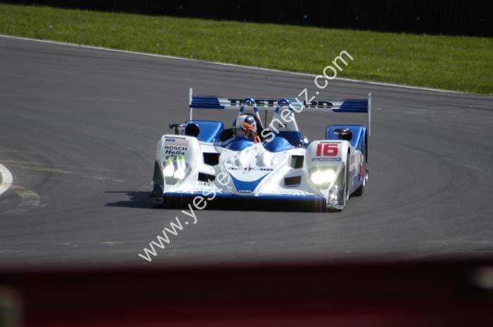 ALMS 499