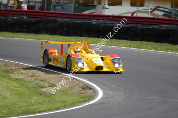 ALMS 513