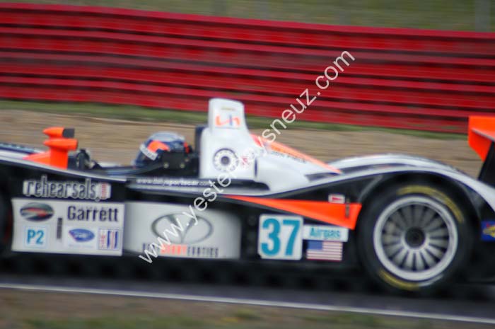 ALMS 556