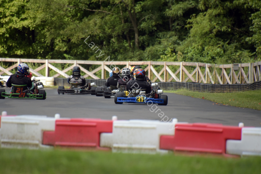 DSC_9518