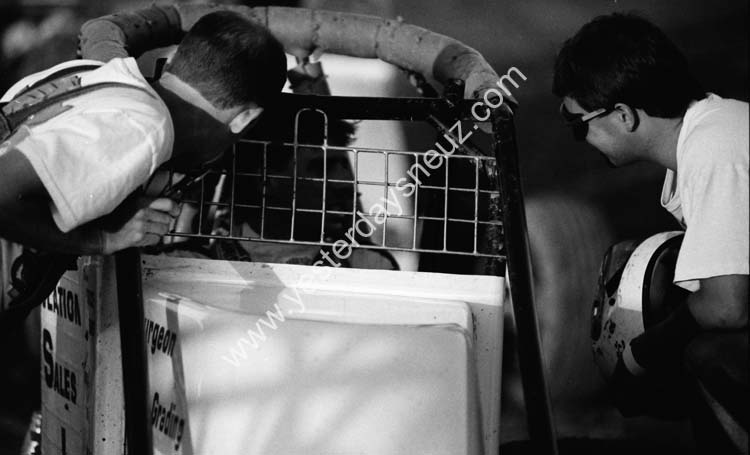 Untitled-23